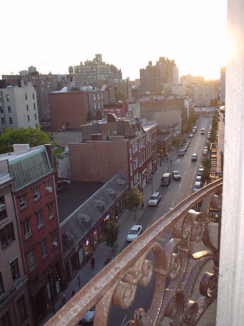 View out the Living Room window (up 8th St)